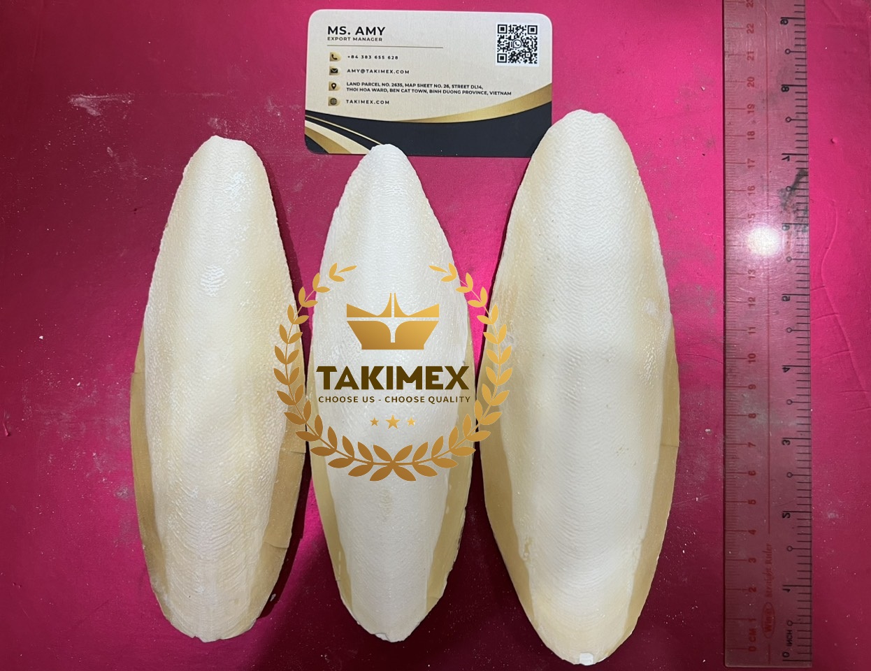 DRIED CUTTLEFISH BONE/ CUTTLEBONE/ SEPIA BONE -  VERY HIGH QUALITY FROM VIETNAM