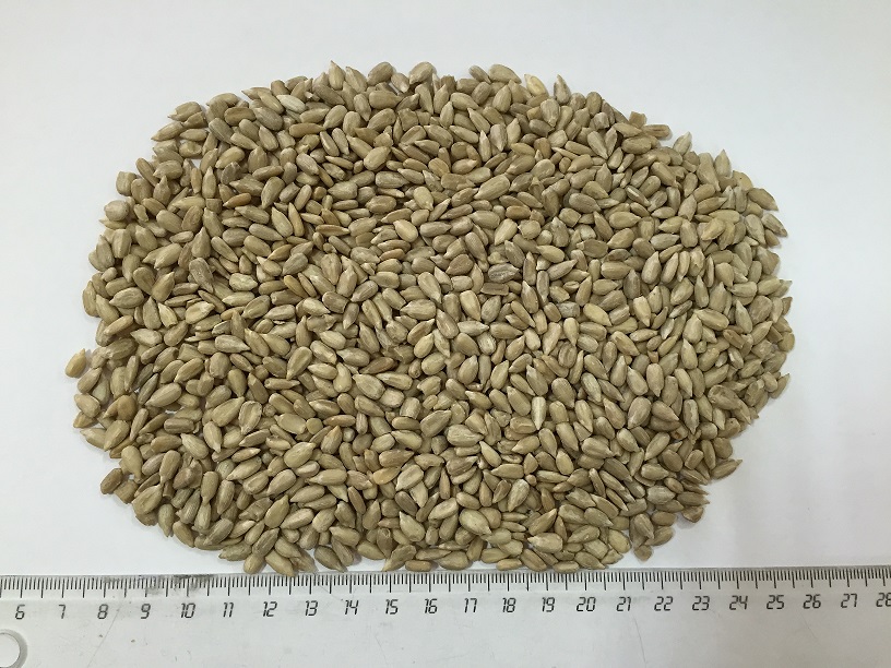 Sunflower kernels